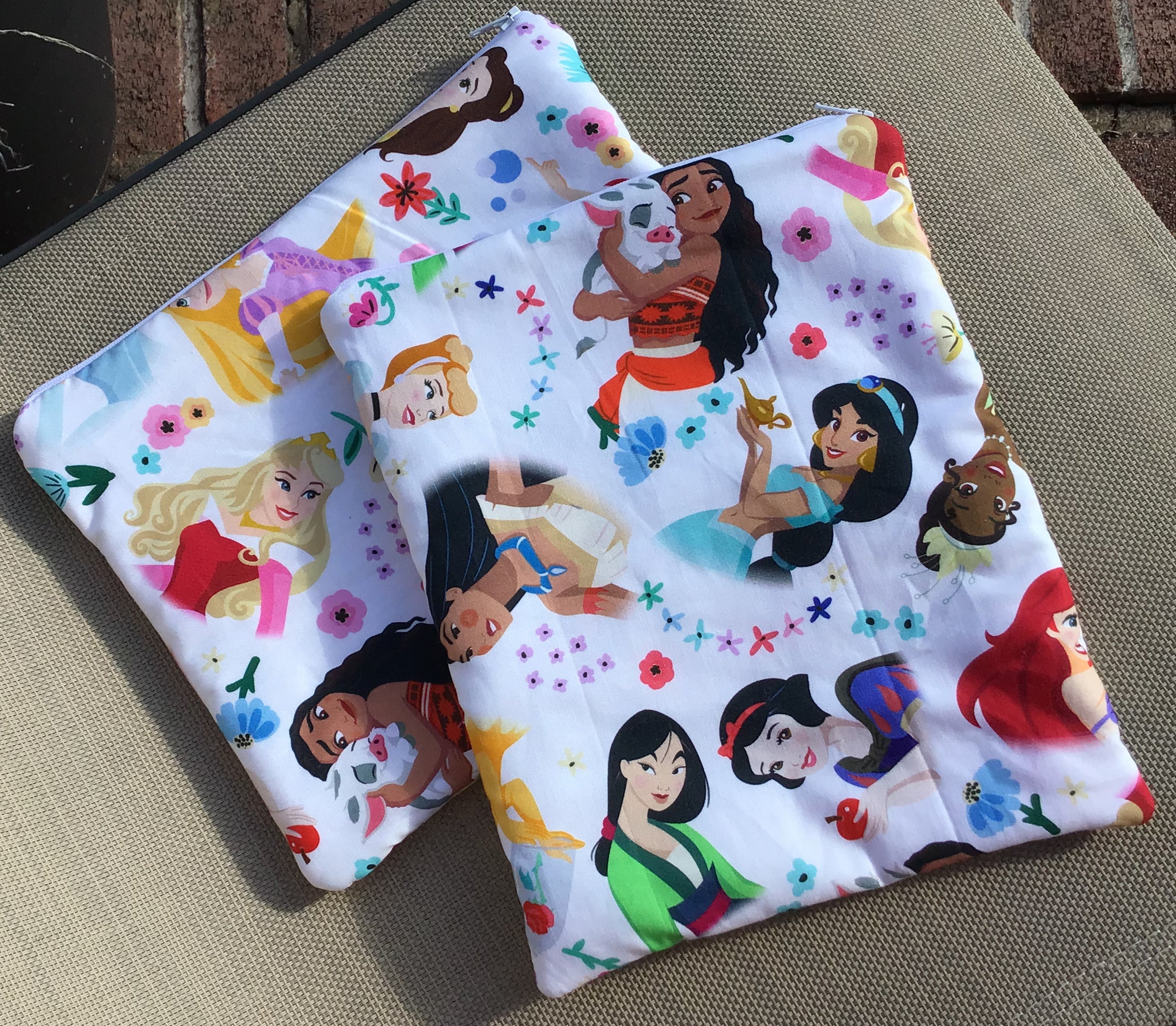 Princesses Book Sleeve/iPad pouch