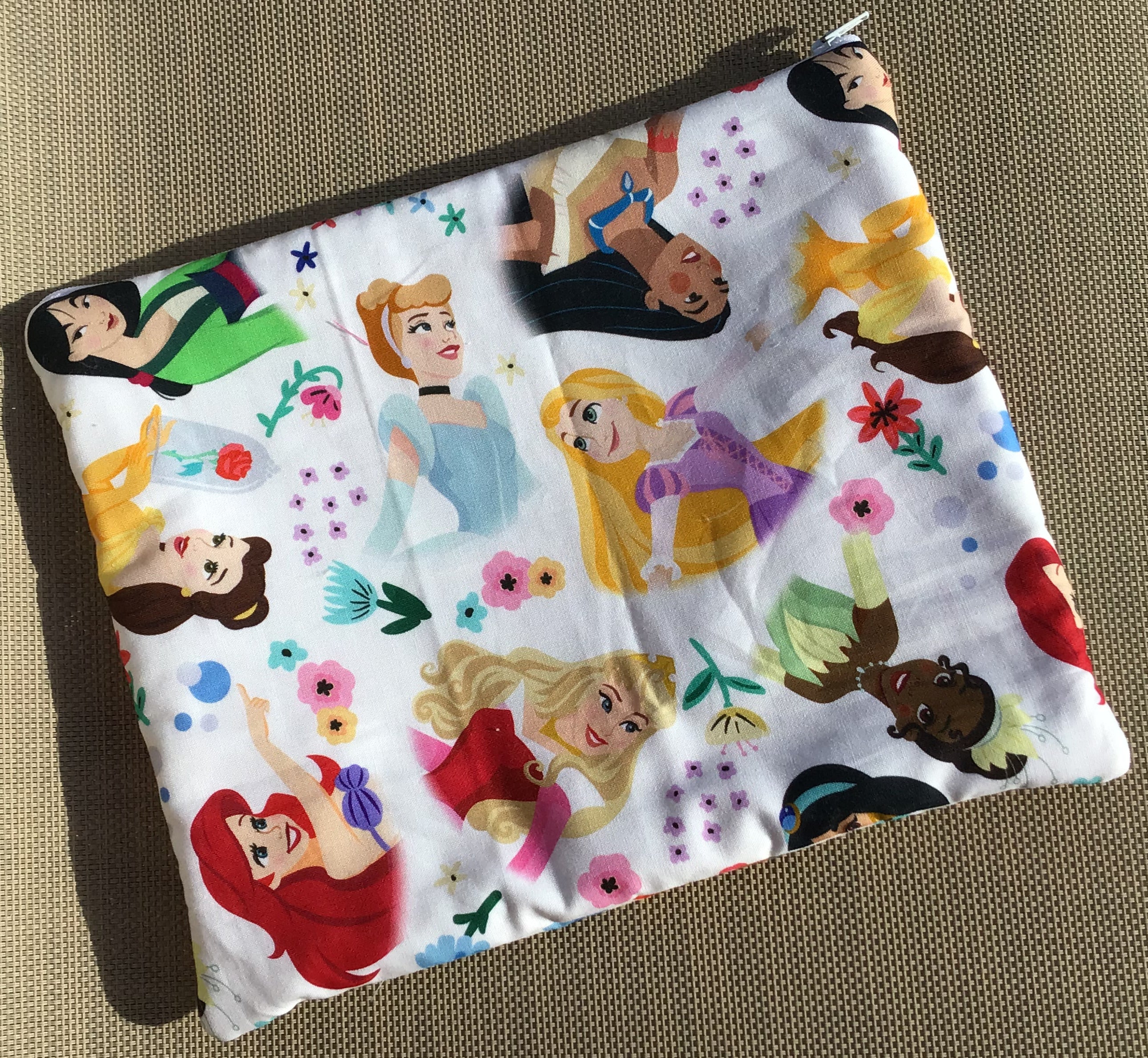Princesses Book Sleeve/iPad pouch